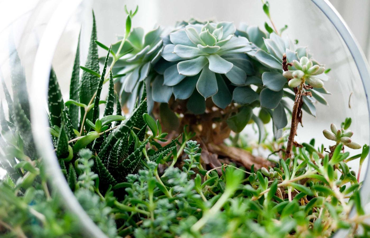 Meditación guiada en grupo, personas sentadas en cojines, ojos cerrados.